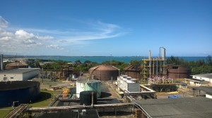 The view from the balcony at Bacardi.
