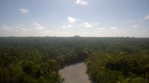 A view from the lookout tower with the Disney Wonder in the distane.